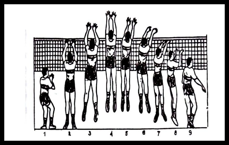 Teknik Block Bola Voli